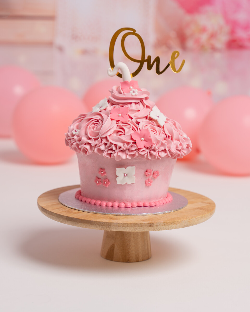 One Cake Smash den helder